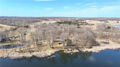 Lake Home For Sale in New London Twp, Minnesota