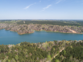 Lake Acreage For Sale in Arley, Alabama