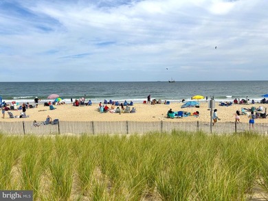 Oceanfront Lot - Rare Offering! This 50' x 260' parcel presents - photo 8