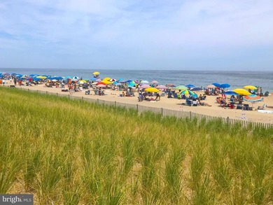 Oceanfront Lot - Rare Offering! This 50' x 260' parcel presents - photo 9