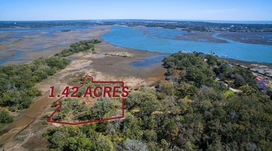 Lake Lot For Sale in Wadmalaw Island, South Carolina
