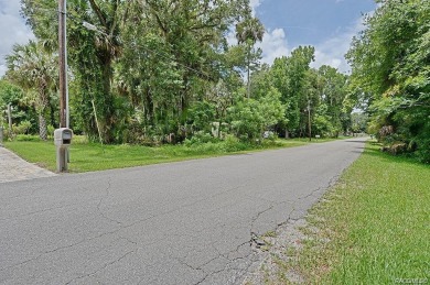 Withlacoochee River - Citrus County Lot For Sale in Inverness Florida