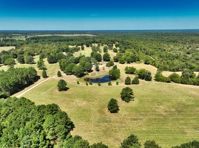Discover the perfect blend of comfort, space, and natural beauty - photo 11