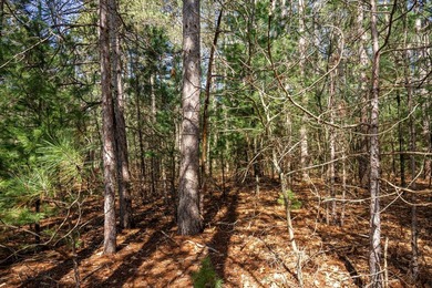 Build Your Dream Home or Getaway Near Castle Rock Lake! Discover - photo 11