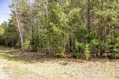 Build Your Dream Home or Getaway Near Castle Rock Lake! Discover - photo 12