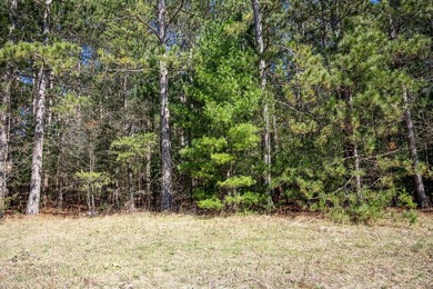 Build Your Dream Home or Getaway Near Castle Rock Lake! Discover - photo 13