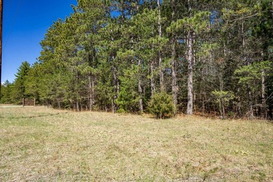 Build Your Dream Home or Getaway Near Castle Rock Lake! Discover - photo 14