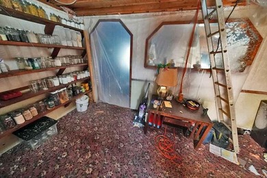 The House Has Issues, Floor Dropped... No One Home For 7 Years - photo 19