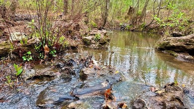 Toledo Bend Lake Acreage For Sale in Hemphill Texas