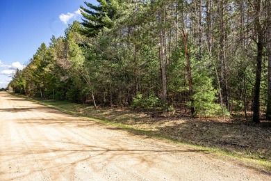 Build Your Dream Home or Getaway Near Castle Rock Lake! Discover - photo 25
