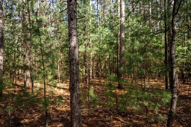 Build Your Dream Home or Getaway Near Castle Rock Lake! Discover - photo 26