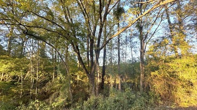 Prime 14.788-Acre Retreat - Just 4 Miles from Toledo Bend Lake & - photo 7