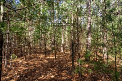 Build Your Dream Home or Getaway Near Castle Rock Lake! Discover - photo 27