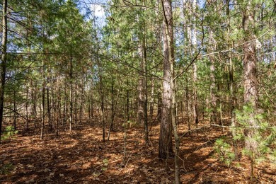 Build Your Dream Home or Getaway Near Castle Rock Lake! Discover - photo 28