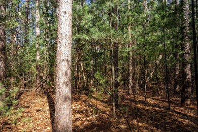 Build Your Dream Home or Getaway Near Castle Rock Lake! Discover - photo 29