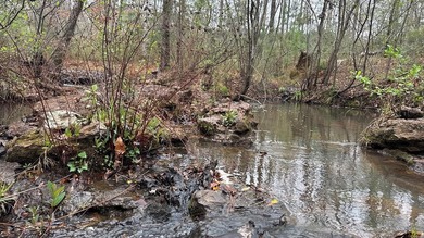 Prime 14.788-Acre Retreat - Just 4 Miles from Toledo Bend Lake & - photo 10