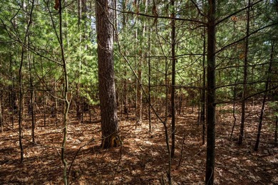 Build Your Dream Home or Getaway Near Castle Rock Lake! Discover - photo 30