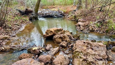 Toledo Bend Lake Acreage For Sale in Hemphill Texas