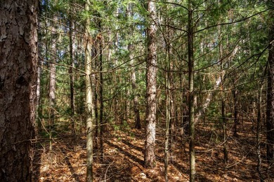 Build Your Dream Home or Getaway Near Castle Rock Lake! Discover - photo 31
