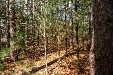 Build Your Dream Home or Getaway Near Castle Rock Lake! Discover - photo 32