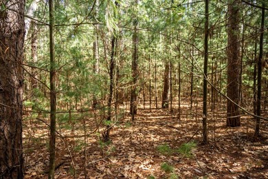 Build Your Dream Home or Getaway Near Castle Rock Lake! Discover - photo 33