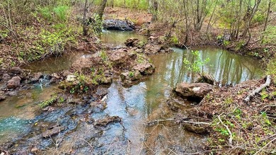 Prime 19.501.-Acre Retreat - Just 4 Miles from Toledo Bend Lake - photo 4