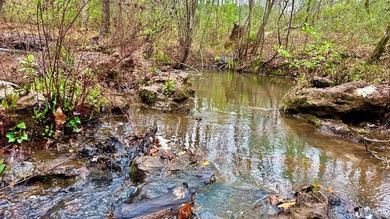Prime 19.501.-Acre Retreat - Just 4 Miles from Toledo Bend Lake - photo 6