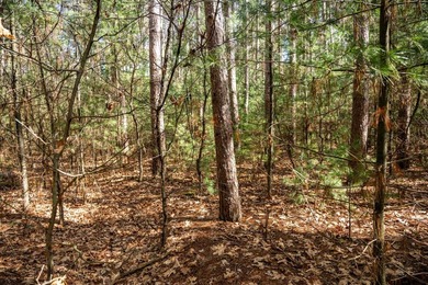 Build Your Dream Home or Getaway Near Castle Rock Lake! Discover - photo 36