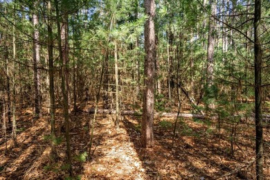 Build Your Dream Home or Getaway Near Castle Rock Lake! Discover - photo 37