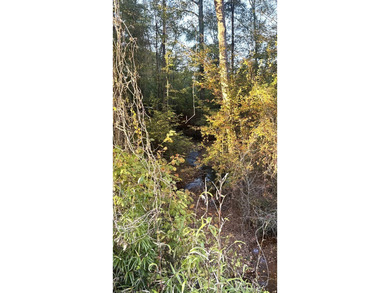 Prime 19.501.-Acre Retreat - Just 4 Miles from Toledo Bend Lake - photo 8