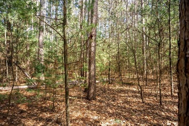 Build Your Dream Home or Getaway Near Castle Rock Lake! Discover - photo 38