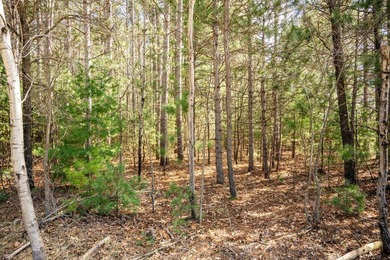 Build Your Dream Home or Getaway Near Castle Rock Lake! Discover - photo 39