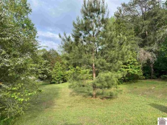 Lake Lot SOLD! in Murray, Kentucky