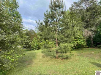 Lake Lot Off Market in Murray, Kentucky