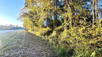 Prime 14.00-Acre Retreat - Just 4 Miles from Toledo Bend Lake & - photo 5
