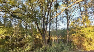 Toledo Bend Lake Acreage For Sale in Hemphill Texas