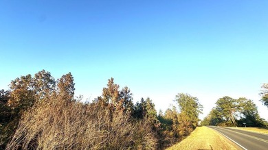 Prime 14.00-Acre Retreat - Just 4 Miles from Toledo Bend Lake & - photo 2
