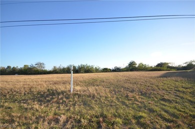 Fresh Water Canal with Seawall! Great location close to shopping - photo 3