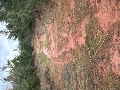 Prime 14.00-Acre Retreat - Just 4 Miles from Toledo Bend Lake & - photo 3