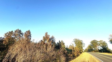 Prime 14.00-Acre Retreat - Just 4 Miles from Toledo Bend Lake & - photo 4