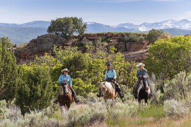 Red Ledges has partnered with Hillwood Homes to create the Park - photo 19