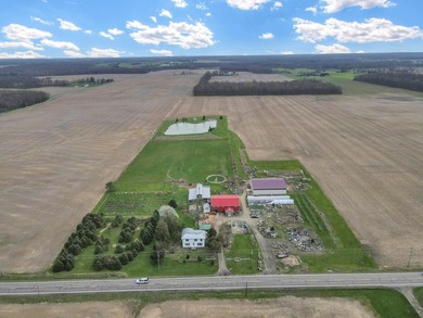 What photos cannot capture: 47.5 acres, 2 Homes, 3 Outbuildings - photo 3