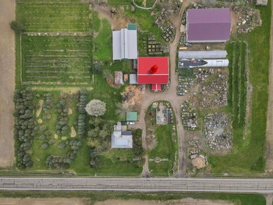 What photos cannot capture: 47.5 acres, 2 Homes, 3 Outbuildings - photo 5