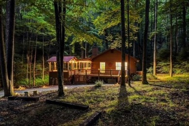 Lake Home For Sale in Blue Ridge, Georgia