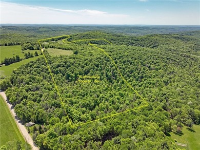 A rare offering of 132 acres of mostly wooded flat land nestled - photo 37