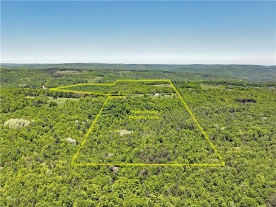A rare offering of 132 acres of mostly wooded flat land nestled - photo 39