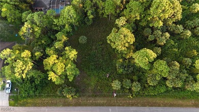 Lehigh Acres Area Lot For Sale in Lehigh Acres Florida