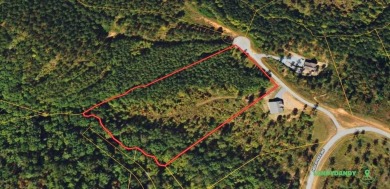 Lake Acreage For Sale in Ellijay, Georgia