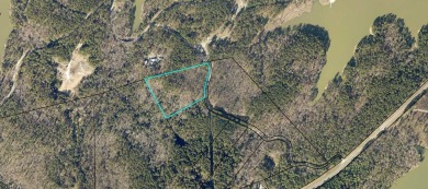8.37 Acres of Beautiful wooded land In Lincoln Countye build - Lake Acreage For Sale in Lincolnton, Georgia
