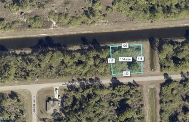 Lehigh Acres Area Lot For Sale in Lehigh Acres Florida